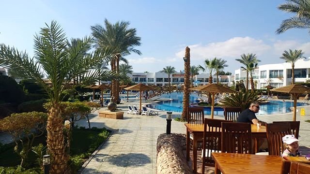 مسبح الفندق