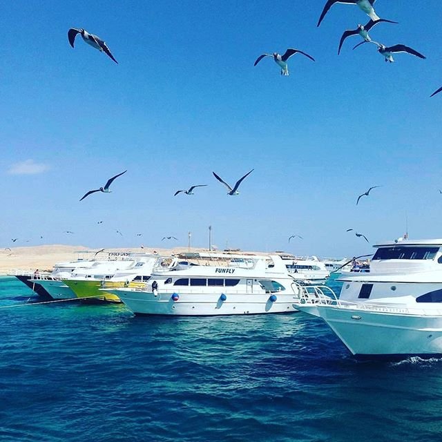 عروض رحلات الغردقة 2020
