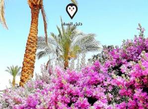 فنادق الدهار الغردقة – أفضل فنادق في منطقة الدهار