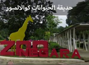 حديقة الحيوانات كوالالمبور على مساحة 110 فدان وبها أكثر من 5000 حيوان