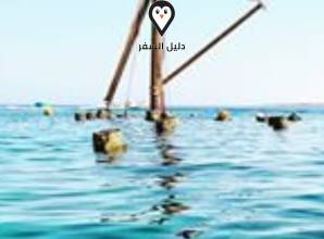 مطاعم سهل الحشيش &#8211; دليلك الشامل لوجبة مميزة في سهل حشيش