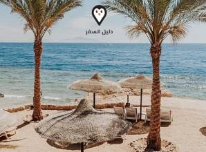 فنادق سوهو شرم الشيخ – أفضل الفنادق في سوهو سكوير