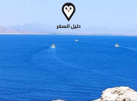 محمية راس محمد &#8211; أجمل بقاع الغطس وحفريات منذ 75 مليون سنة