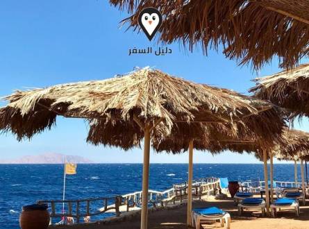 فنادق سهل حشيش &#8211; اقتراحات الفنادق في سهل حشيش