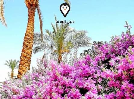 فنادق الدهار الغردقة &#8211; أفضل فنادق في منطقة الدهار