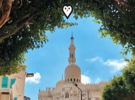 قصر التين بالاسكندرية &#8211; أجمل مواقع الإسكندرية التاريخية