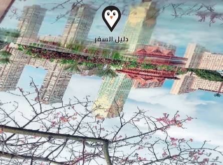 فندق لؤلؤة المعادي &#8211; Pearl Maadi  Hotel in Cairo 3 stars