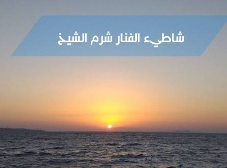 شاطىء الفنار شرم الشيخ متعة الغوص وسط الشعاب المرجانية والاسماك النادرة
