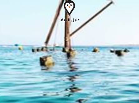 مطاعم سهل الحشيش &#8211; دليلك الشامل لوجبة مميزة في سهل حشيش