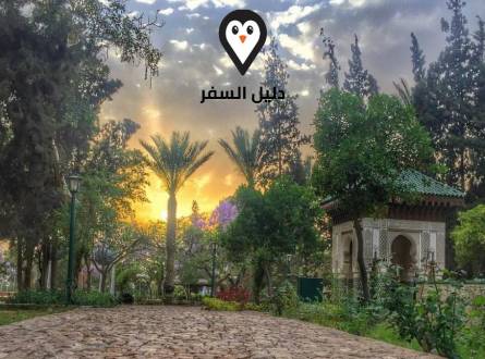 الحديقة الدولية &#8211; مساحات خضراء تحتضن الطاووس و النعام الإفريقي