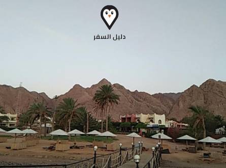 فندق دانيلا دهب &#8211; احجز قرية دانيلا دايفينج ريزورت 3 نجوم بأقل سعر
