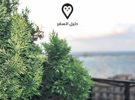 فندق شيرى ماريسكى الاسكندريه &#8211; Cherry Maryski Hotel