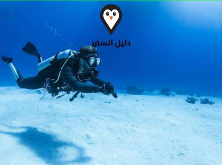 فندق شارمليون شرم الشيخ &#8211; فئة 5 نجوم مكان العائلة المفضل