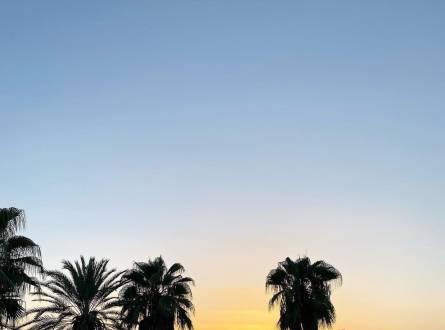 فنادق شهر العسل