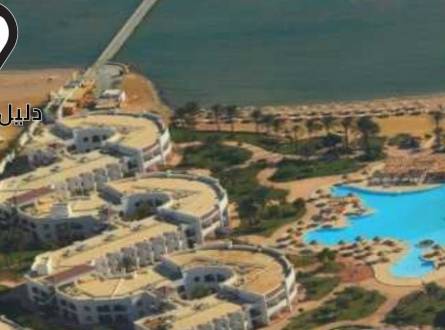 فندق سمكة كمفورت الغردقة &#8211; دليلك الشامل في فئة 3 نجوم