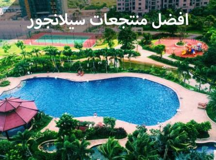 فنادق سيلانجور المميزة وعرض لكل ما يخص فندق بالاس هورسيز