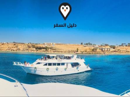 رحلة غوص شرم الشيخ &#8211; أفضل رحلات الغطس في شرم الشيخ