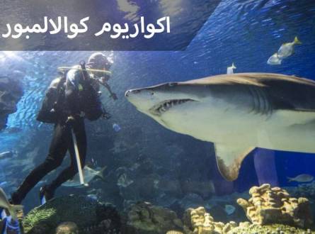 اكواريوم كوالالمبور وتعرف علي الحياة البحرية بمساحة 5600 متر