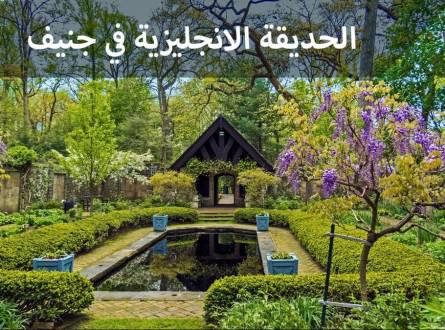 الحديقة الانجليزية في جنيف &#8211; تعرف على مميزاتها &#8211; تجربتي و تصوير