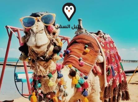 قرية هاواى ريفيرا الغردقة &#8211; الإستمتاع بالأكوابارك للعائلات والأزواج
