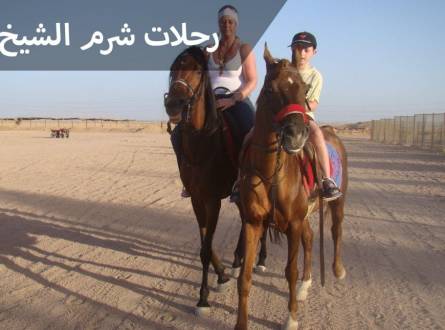 رحلات شرم الشيخ &#8211; متعة السفاري وركوب الجمال وتجربة حياة البدو